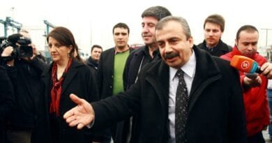 Şanda DEM Partî Serdana Ocalan Dike