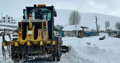 Li Wanê rêyên 30 gundî ji ber berfê hatin girtin