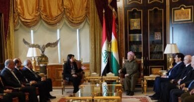 Parlemanterên DEM Partî Li Gel Serkirdeyên Herêma Kurdistanê Kom Dibin