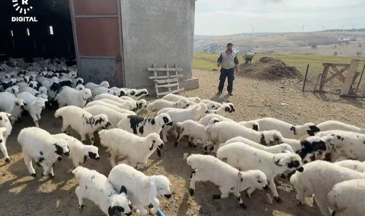 Li Dêrsimê ji ber nexweşiya tebeqê 2 gund hatin...