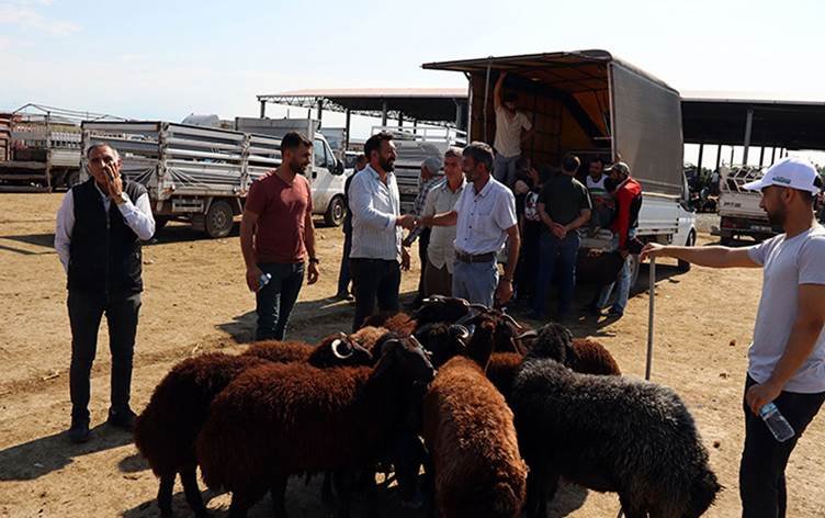 ÎDIR - Bazara Heywanan ji ber nexweşiya tebeqê...