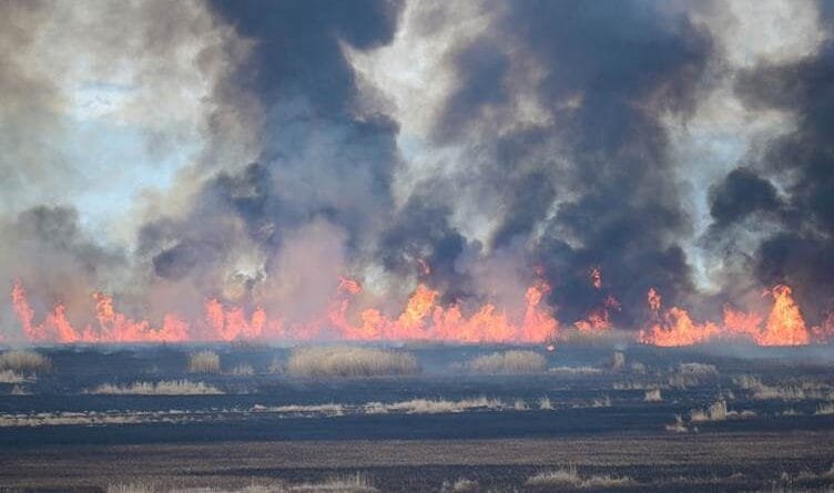 WAN - Li dehla ku wekî ‘biheşta çûkan’ tê...