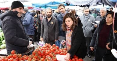 AMED - Li esnafan etîketên bi Kurdî hatin...