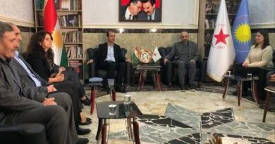 Şandeya DEM Partî û DBPyê bi PYDyê re civiya