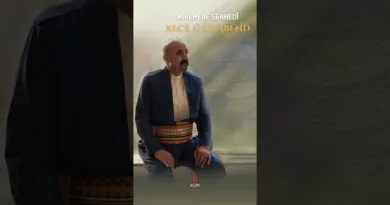 Mihemedê Serhedî - Xecê û Siyabend (Performansa Zindî 2024 © Kom Müzik) #shorts #shortvideo