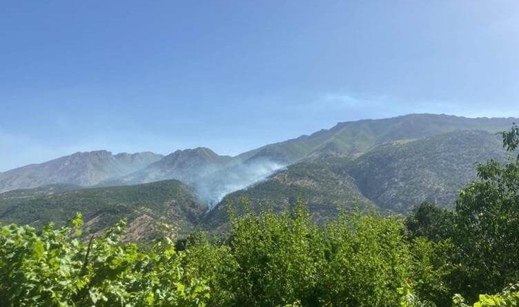 CPT: Tirkiyeyê îsal 404 caran Herêma Kurdistanê...