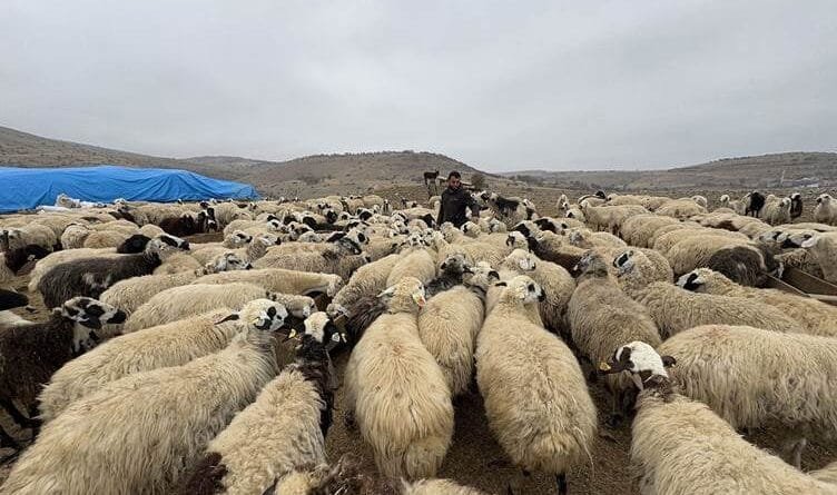 Li Dêrsimê nexweşiya tebeqê belav bûye: 10 gund...