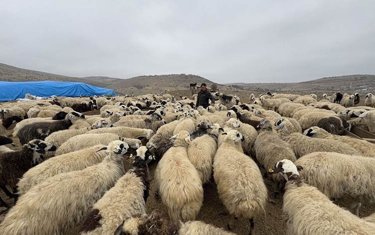 Li Dêrsimê nexweşiya tebeqê belav bûye: 10 gund...