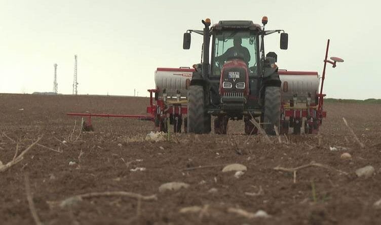 Elektrîk biha bû: Berhem li ber hişkbûnê ne û...