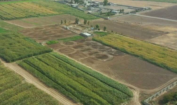 KERKÛK - 900 hezar donim erdên dagirkirî tên...