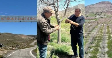 Sir û seqemê tûyên navdar ên Dêrsimê têk birin