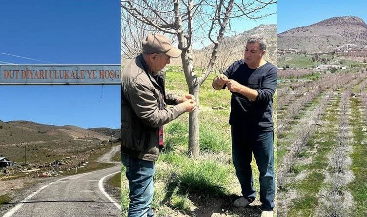 Sir û seqemê tûyên navdar ên Dêrsimê têk birin