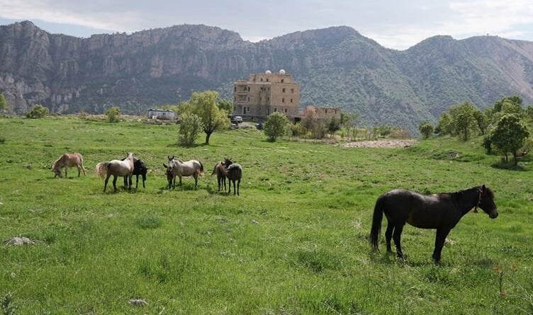 ŞIRNEX - Gundê Keldaniyan Herbol ji nû ve tê...