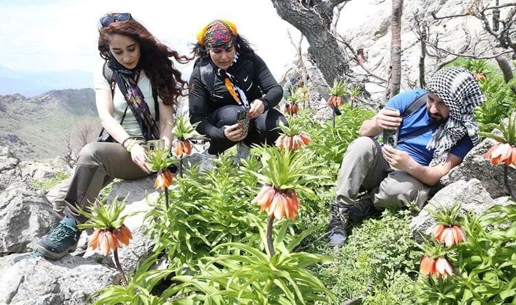 Li Bakurê Kurdistanê geştyariya guldexwînan geş...