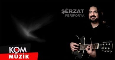 Şêrzat - Te Dixwazim (Official Audio © Kom Müzik)