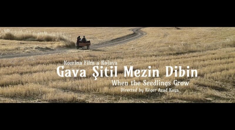 Gava Şitil Mezin Dibin /When The Seedlings Grow