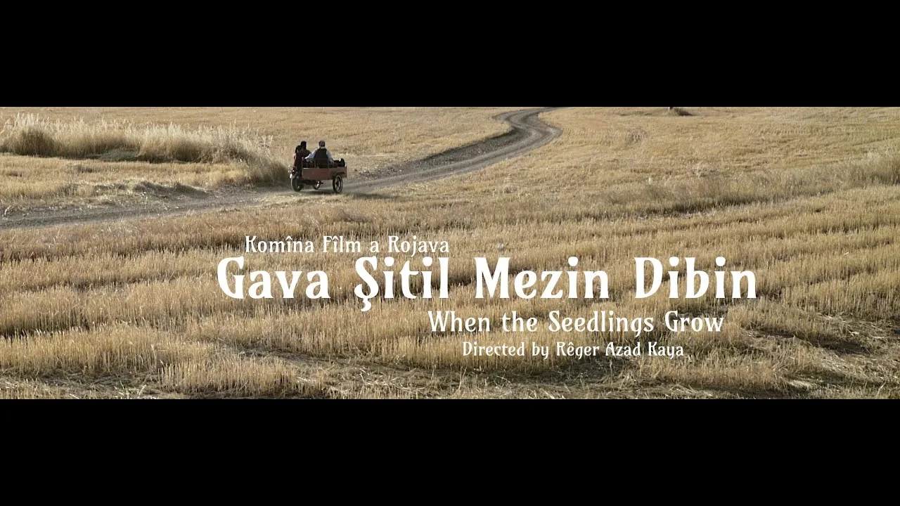 Gava Şitil Mezin Dibin /When The Seedlings Grow