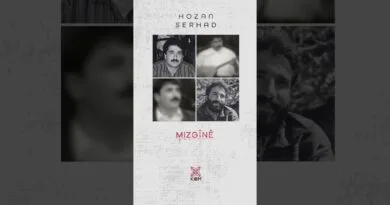 Hozan Serhad - Mizgînê (Official Audio © Kom Müzik) #kommüzik #shorts #short #shortvideo