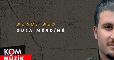 Mesut Med - Gula Mêrdînê (Official Audio © Kom Müzik)