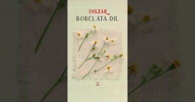 Dilzar - Bobelata Dil #shortvideo #shorts
