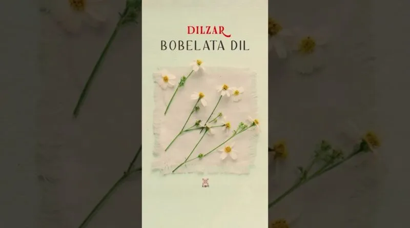 Dilzar - Bobelata Dil #shortvideo #shorts