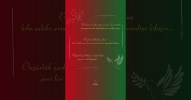 Sersala 2025 #kommüzik #shortvideo #shorts #short