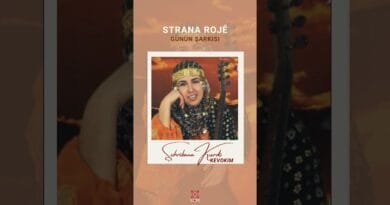 Şehrîbana Kurdî - Kevok im  #kommüzik #music #kürtçemüzik #kurdish #kurdishmusic #shorts