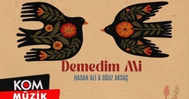 Hasan Ali & Oğuz Aksaç - Demedim Mi (Official Audio)