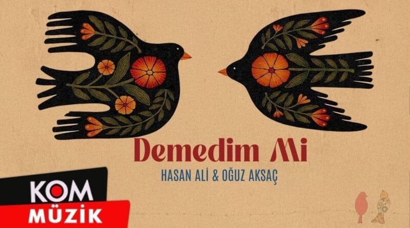 Hasan Ali & Oğuz Aksaç - Demedim Mi (Official Audio)