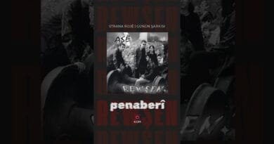 Rewşen - Penaberî (2002 © Kom Müzik) #kürtçemüzik #music #kurmancî #shorts #shortvideo