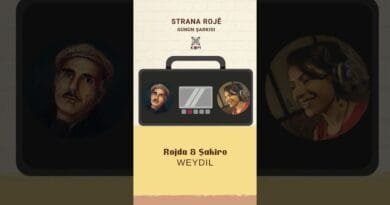 Rojda & Şakiro -  Wey Dil #shorts #shortvideo #kurdish #kürtçe #şakiro #rojda