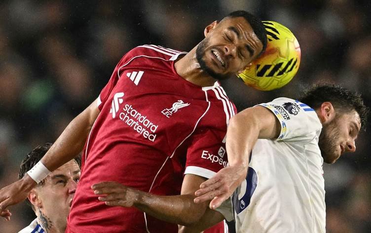 Li Liverpoolê şok: Gakpo seqet bû, Chiesa nexweş e