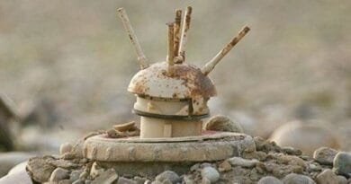 SILÊMANÎ - Lehiyê mayîn bi xwe re anî, şivanek...