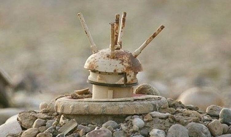 SILÊMANÎ - Lehiyê mayîn bi xwe re anî, şivanek...