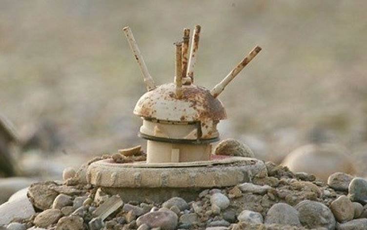 SILÊMANÎ - Lehiyê mayîn bi xwe re anî, şivanek...