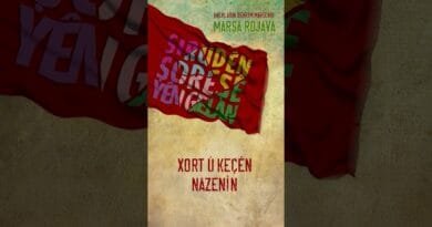 Halkların Devrim Marşları - Marşa Rojava  #kürtçemüzik #kommüzik #shortsvideo #kurdish