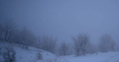 Kesekî ji Başûr li ser sînorê Bakurê Kurdistanê...