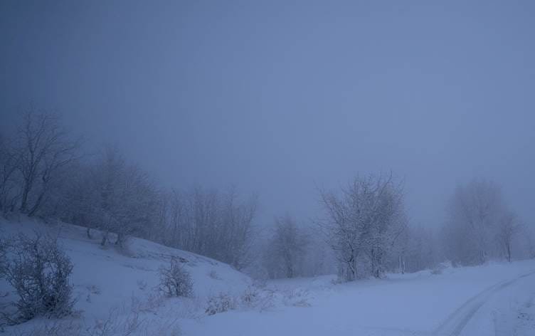 Kesekî ji Başûr li ser sînorê Bakurê Kurdistanê...