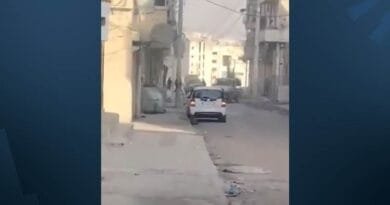 Asayîş: Hikûmet senaryoya serdema Esed ducare dike