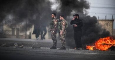 Frank Pallone: Trump şervan avêtine ber guran