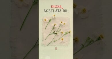 Dilzar - Bobelata Dil #shortvideo #kommüzik #kurdishmusic #shorts