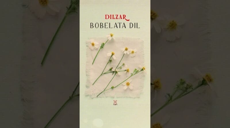 Dilzar - Bobelata Dil #shortvideo #kommüzik #kurdishmusic #shorts