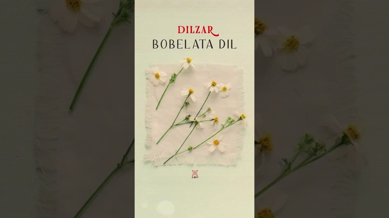Dilzar – Bobelata Dil #shortvideo #kommüzik #kurdishmusic #shorts
