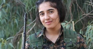 Stranek ji bo Denîzê hat çêkirin