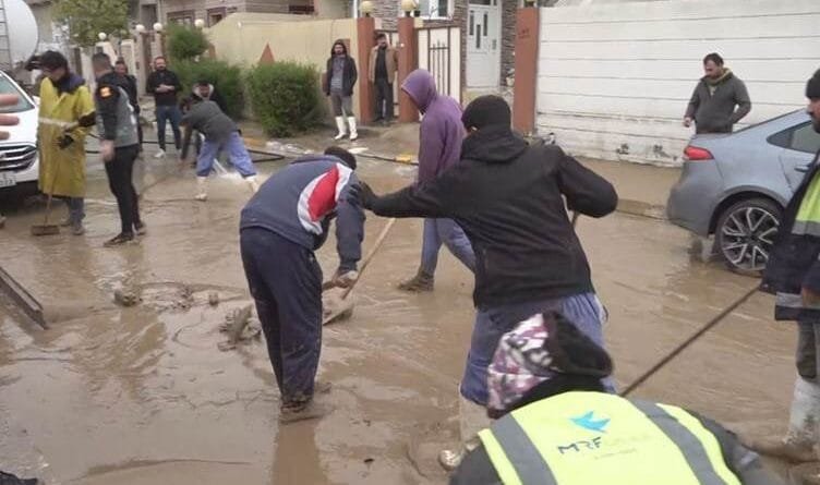 Li Şêxanê barana gur: 30 mal û 17 otomobîlan...