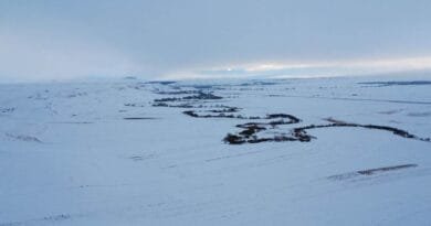 Li Qers û Erdexanê berf dibare û hewa sar e