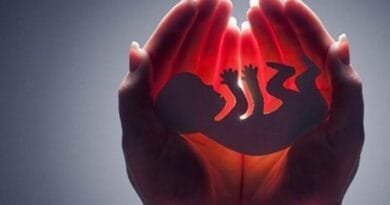 Li Sineyê di salekê de rê li ber jiberbirina 300...