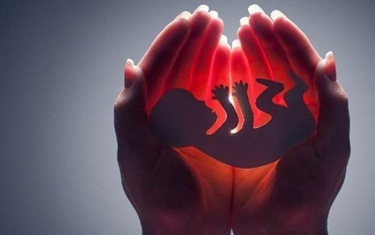 Li Sineyê di salekê de rê li ber jiberbirina 300...