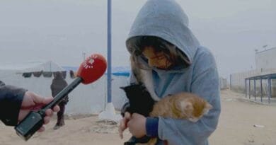 Şêxmûs Ehmed: HSD dê Kampa Rojê vala bike