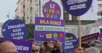 Parlamenterê CHPyê: Zimanê dayikê ne gef e, maf e